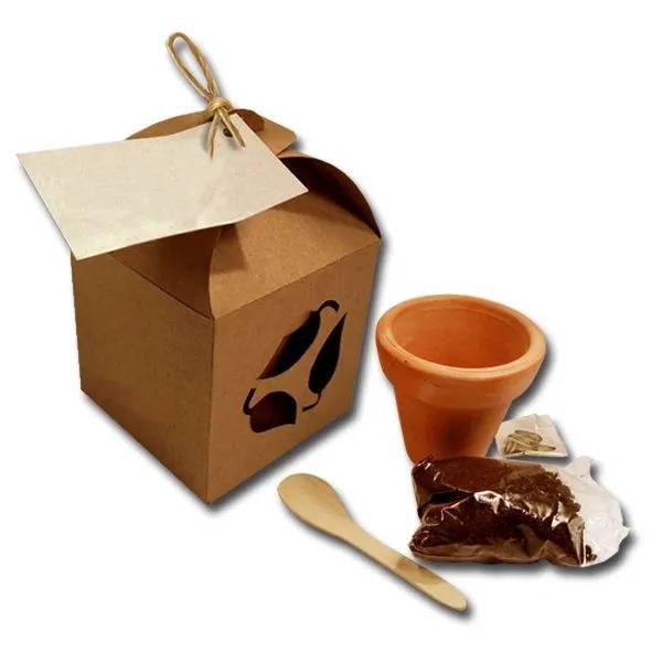 Kit Vaso e Plantio Ecológico