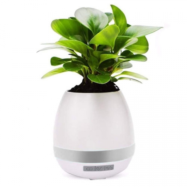 Vaso Caixa de Som com Led Bluetooth